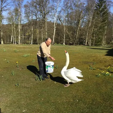 Résidence Clairbois, D'hôtes Alojamento de Acomodação e Pequeno-almoço 3*